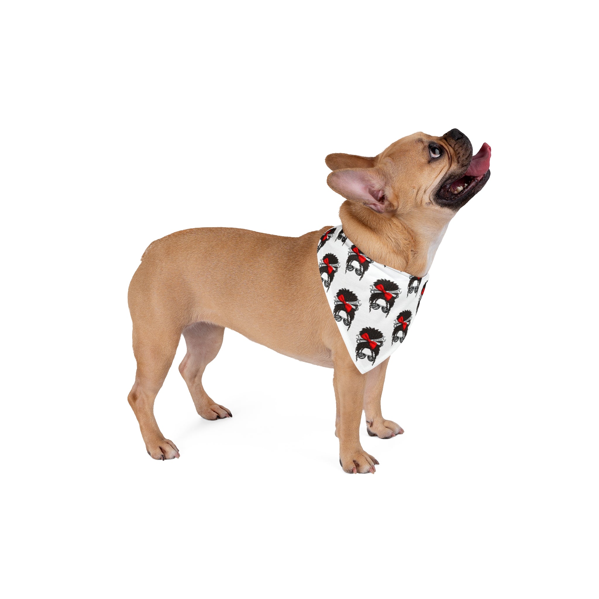 Messy Bun (Curly) Pet Bandana