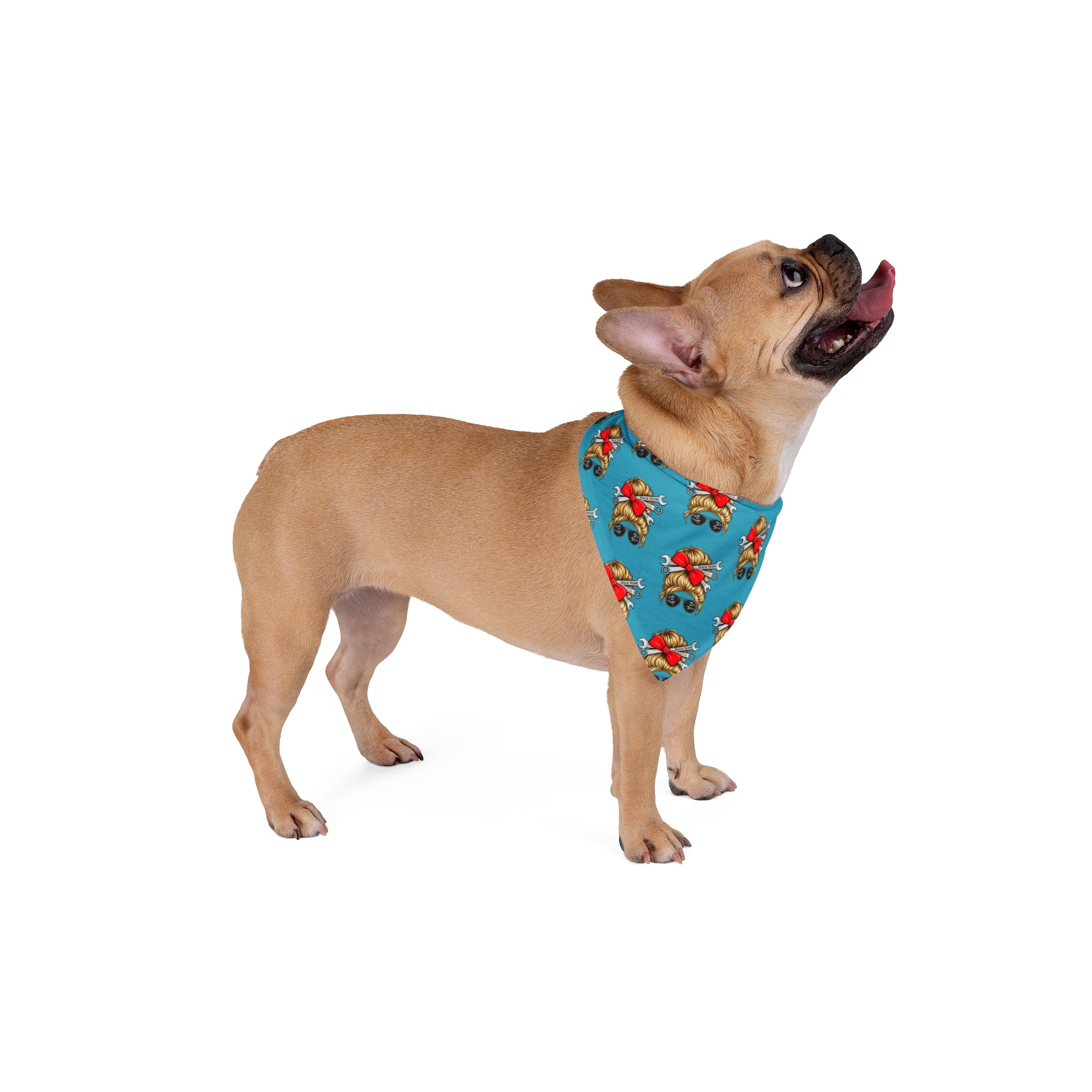 Grease Queen (Blondie) Pet Bandana